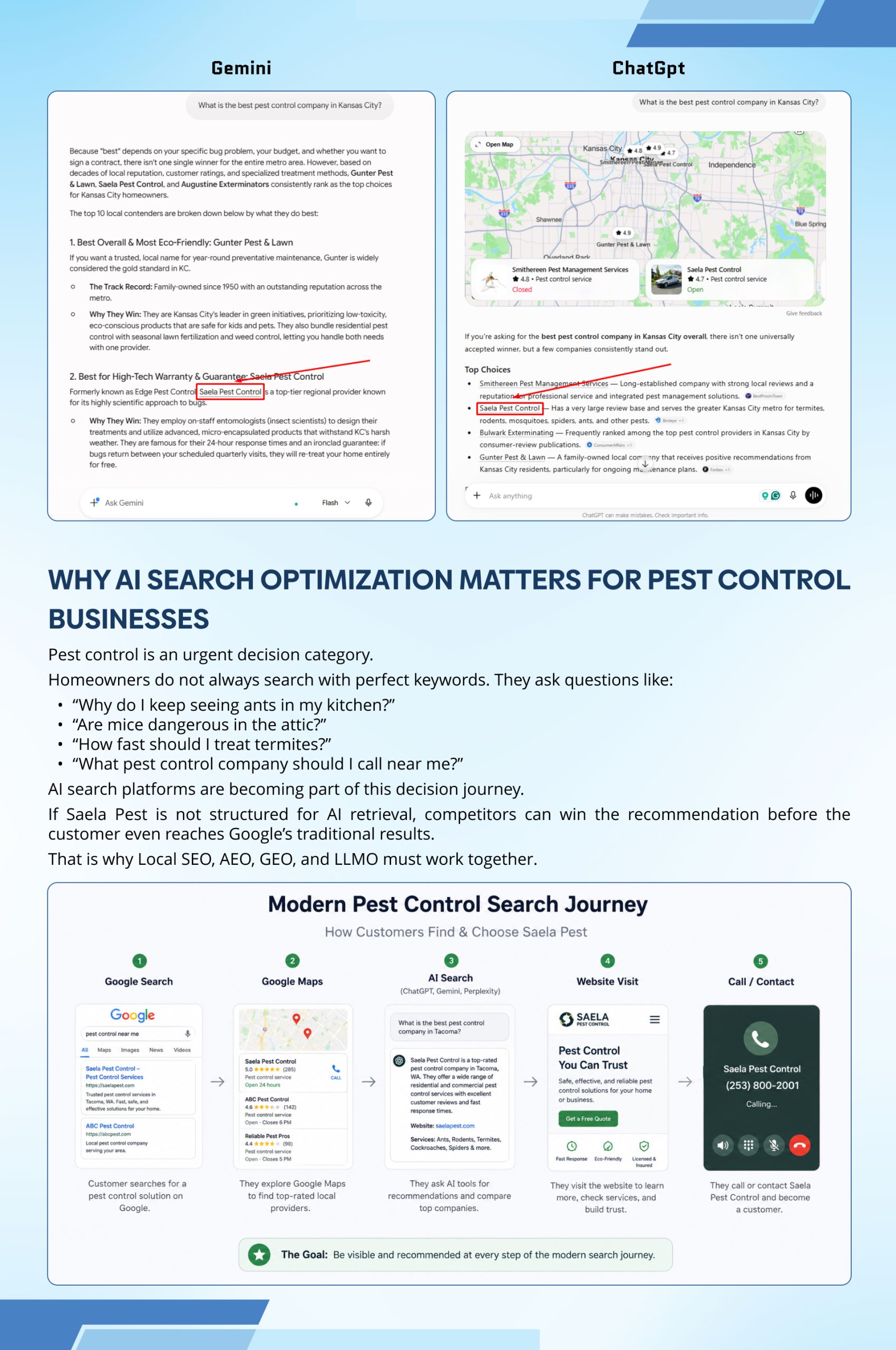 Pest Control Local SEO Case Study | Page 10