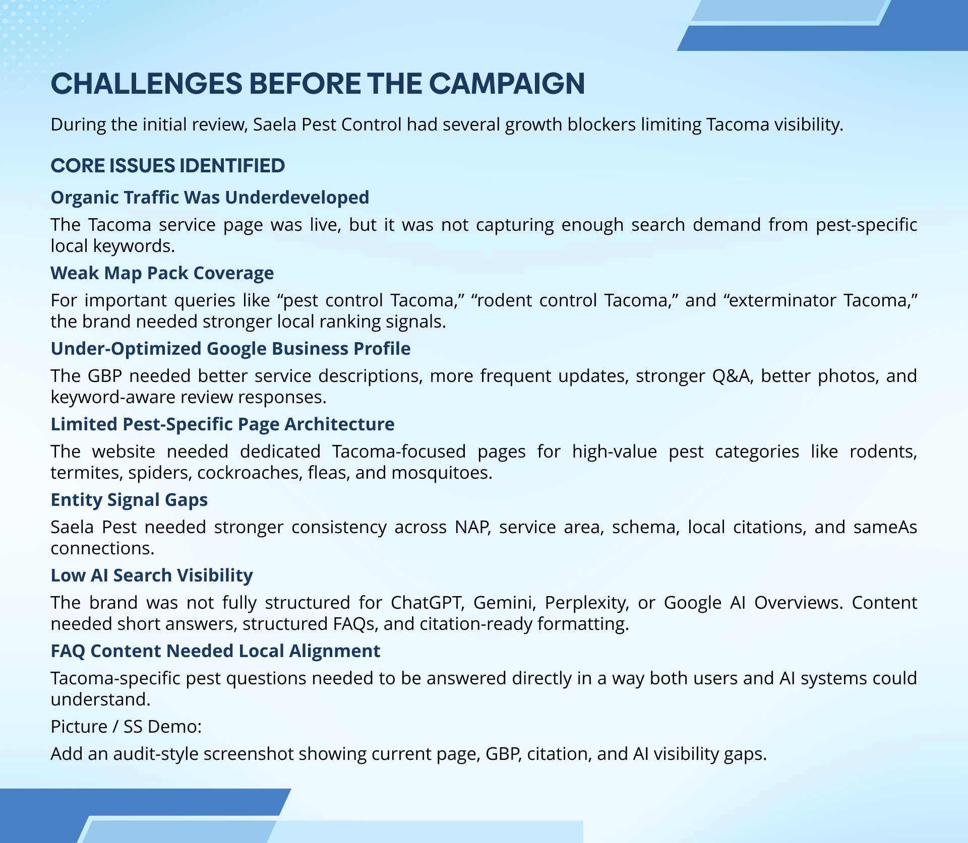 Pest Control Local SEO Case Study | Page 4