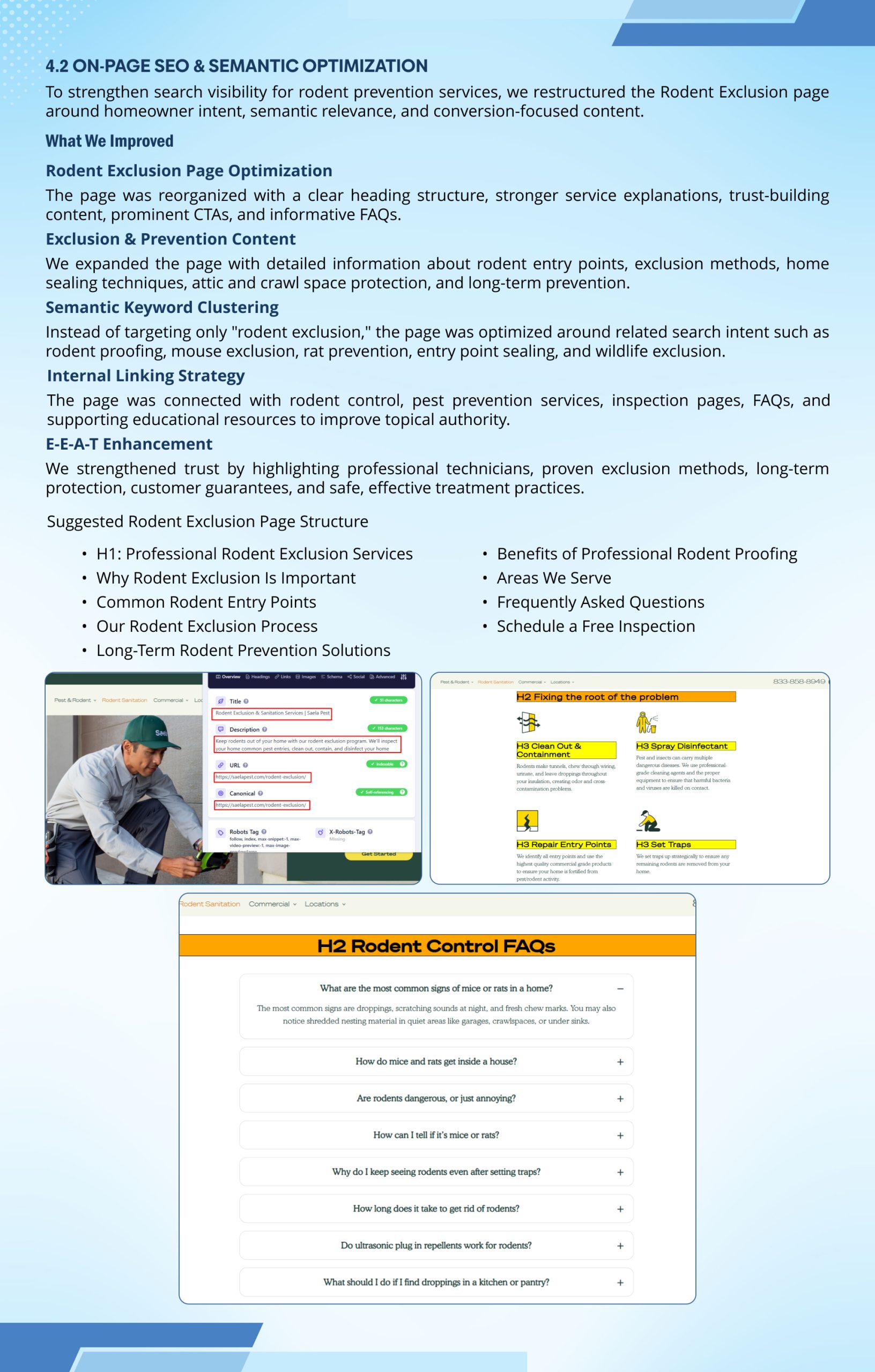 Pest Control Local SEO Case Study | Page 6